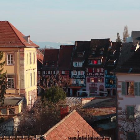 Apartamento Sous les toits du Zinc - Climatisé Colmar Exterior foto